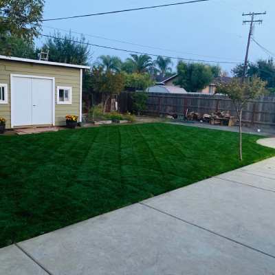 LAWN MOWING